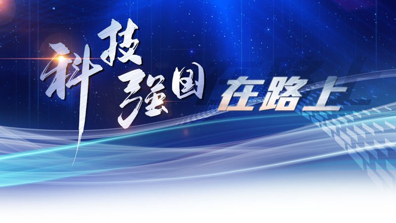 生物技术研发外包：揭秘厂家直销的奥秘**
